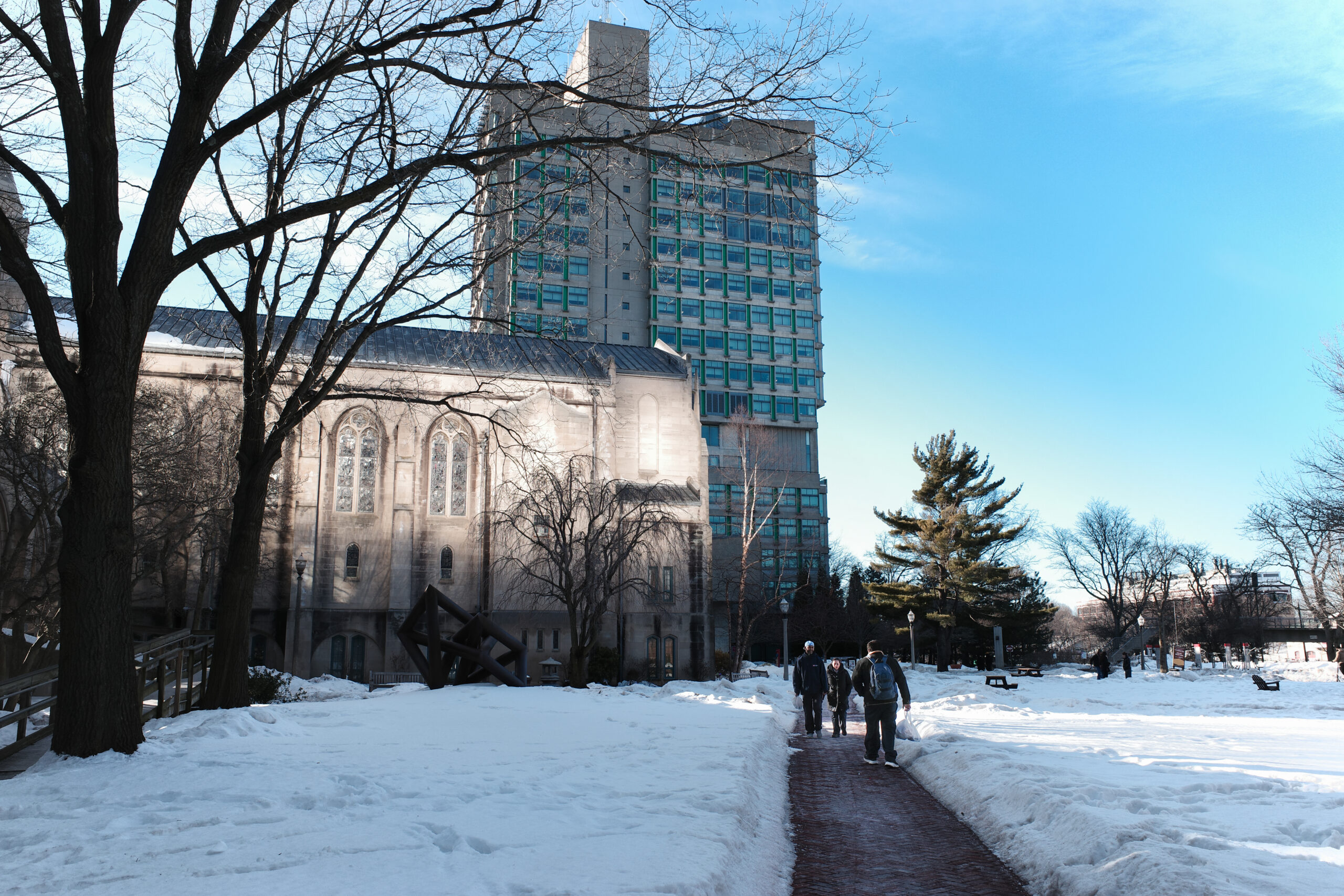 Same Snow, Different Story: How a Student Photographer Changed the Way I Read My Own Words